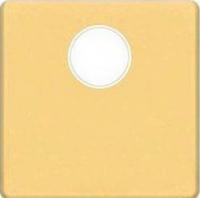 Телевизионная розетка оконечная 2 Db  Fede FD04315OR-A | FD001F | FD16-BAST