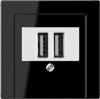 usb розетка | зарядка Jung 260209+A569PLTSW