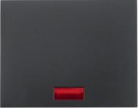 Выключатель одноклавишный проходной с подсветкой 3036 | 1675 | 14157006 Berker