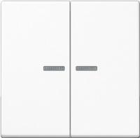 Выключатель двухклавишный с подсветкой Jung 505U5+A595KO5WW