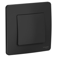 Одноклавишный переключатель скрытой установки 10А 250В Systeme Electric Blanca BLNVS010606, Антрацит