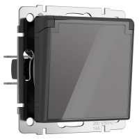 Розетка с заземлением, шторками и защитной крышкой Werkel акрил графит винтовая клемма (W1171244)