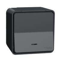 Кнопочный выключатель В сборе открытой установки с подсветкой, IP55 Mureva Styl Schneider Electric MUR35028, антрацит