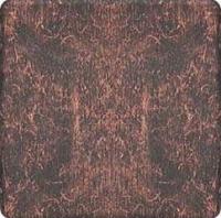 Выключатель одноклавишный 10А Fede FD04310RU | FD16505 | FD16-BAST