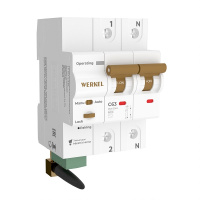 Умный автоматический выключатель 2 P 63 A C 6 kA Werkel W1002P6301