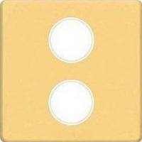 Тв/спутник розетка оконечная с двойным SAT | DC/TV 2,2 Db Fede FD04316OR-A | FD011F | FD16-BAST