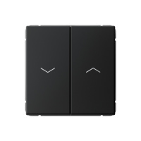 Двухклавишный выключатель для жалюзи Systeme Electric ArtGallery, 2х сх.4, 10А, карбон GAL001019