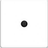 Выключатель поворотный 10А ( ручка отдельно ) Fede FD03110 | FD16-BAST