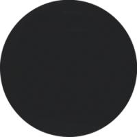 Выключатель одноклавишный проходной 3036 | 16202045 Berker