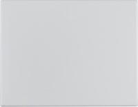 Выключатель одноклавишный проходной 3036 | 14057003 Berker