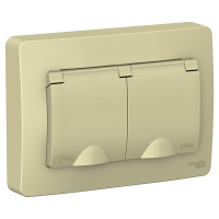 Розетка скрытой установки IP44 двойная с заземляющим контактом и шторками 16A 250В Systeme Electric Blanca BLNRS441127, Бежевый