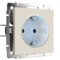 Розетка с подсветкой айвори матовый Werkel Встраиваемые механизмы айвори матовые W1171462
