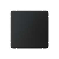 Одноклавишный выключатель Systeme Electric ArtGallery, сх.1, 10АХ, карбон GAL001011