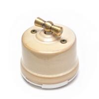 Выключатель 2-х позиционный для наружного монтажа проходной  Salvador бежевый OP11GD