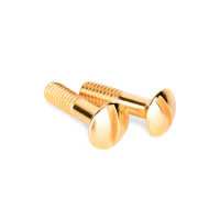 Винты для распределительной коробки/TV  розетки 2 шт. золото ретро Werkel Ретро аксессуары WL18-22-01