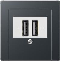 usb розетка | зарядка Jung 260209+A569BFPLTANM