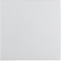 Выключатель одноклавишный проходной 3036 | 16201909 Berker