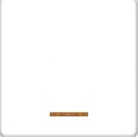 Выключатель одноклавишный с подсв.10А Fede FD17705-L | FD16039-1 | FD16505 | FD16-BAST