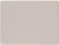 Выключатель одноклавишный проходной 3036 | 14050002 Berker