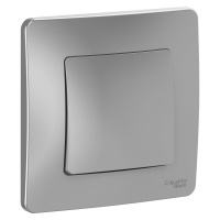 Одноклавишный выключатель скрытой установки 10А 250В Systeme Electric Blanca BLNVS010103, Алюминий