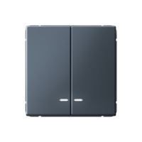 Двухклавишный выключатель с подсветкой Systeme Electric ArtGallery, сх.5а, 10АХ, грифель GAL000753