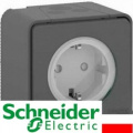 Schneider Electric Mureva Styl ip55 Schneider Electric Mureva Styl ip55