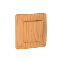 Переключатель 1-клавишный Systeme Electric Blanca С/У IP44 (сх.6), 10AX, 250В, ЯСЕНЬ BLNVS410605