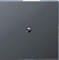 Вывод кабеля Jung A590BFAANM