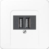 usb зарядка | розетка Jung CD500 260205+CD569TWW