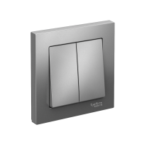 Выключатель 2-клавишный Systeme Electric AtlasDesign, сх.5, 10АХ, в сборе, быстрозажим. клем., СТАЛЬ ATN000952S
