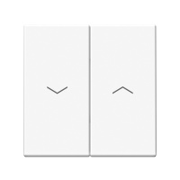 Двухклавишный выключатель для жалюзи Systeme Electric ArtGallery, 2х сх.4, 10А, лотос GAL001319