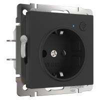 Умная встраиваемая розетка с заземлением с защитными шторками Werkel Встраиваемые механизмы черные W1171608