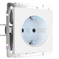 Розетка с подсветкой белый матовый Werkel Встраиваемые механизмы белые матовые W1171461