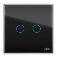Сенсорный выключатель 2 клав. CGSS WT-M02 | WT-P02B