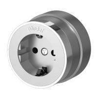 Розетка с заземлением Vintage серебро матовый/хром Werkel Накладные механизмы Vintage серебро матовый/хром W5871054