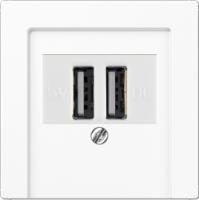 usb розетка | зарядка Jung 260209+A569PLTWW