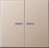 Выключатель двухклавишный с подсветкой Jung 505U5+A595KO5CH