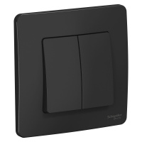 Двухклавишный выключатель (cх.5) скрытой установки 10А 250В Systeme Electric Blanca BLNVS010506, Антрацит