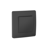 Переключатель 1-клавишный Systeme Electric Blanca С/У IP44 (сх.6), 10AX, 250В, АНТРАЦИТ BLNVS410606