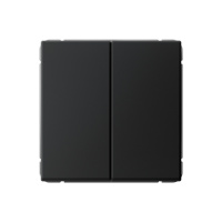 Двухклавишный выключатель Systeme Electric ArtGallery сх.5, 10АХ, карбон GAL001051