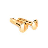 Винты для распределительных коробок TV розетки 2 шт золото Retro Werkel W6481338