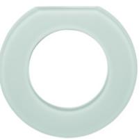 Рамка оконечная полярная белизна 109219 Berker