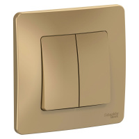 Двухклавишный переключатель (cх.6+6) скрытой установки 10А 250В Systeme Electric Blanca BLNVS106604, Титан