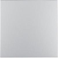 Выключатель одноклавишный проходной 3036 | 16201404 Berker