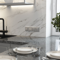 W1110065 Werkel Werkel механизмы серебряные матовый