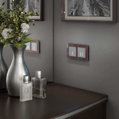 W4520606 Werkel Werkel механизмы сенсорные серебряные