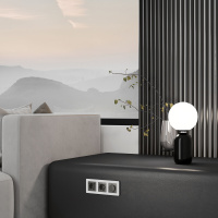 W1179544 + W1171501 Werkel Werkel механизмы акрил графит