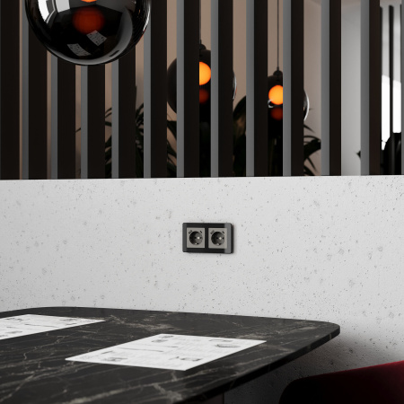 W1171744 Werkel Werkel механизмы акрил графит