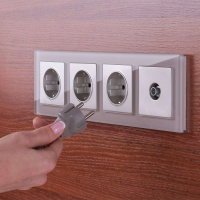 W1171006 Werkel Werkel механизмы серебряные