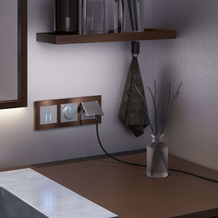 W4520606 Werkel Werkel механизмы сенсорные серебряные